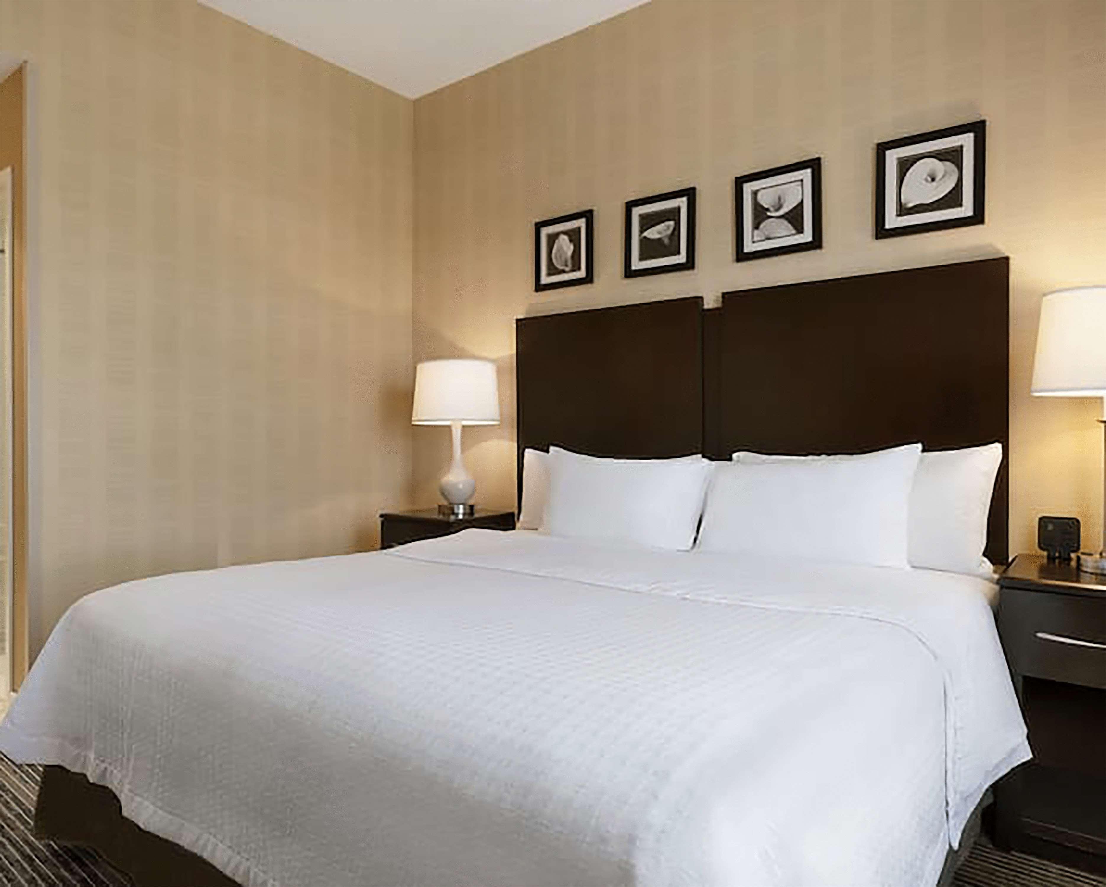 Homewood Suites By Hilton Newtown - Langhorne, Pa Dış mekan fotoğraf